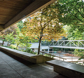 Photo of a student walkway. Link to Gifts of Life Insurance.